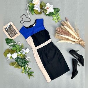 Bodycon Colorblock Dress